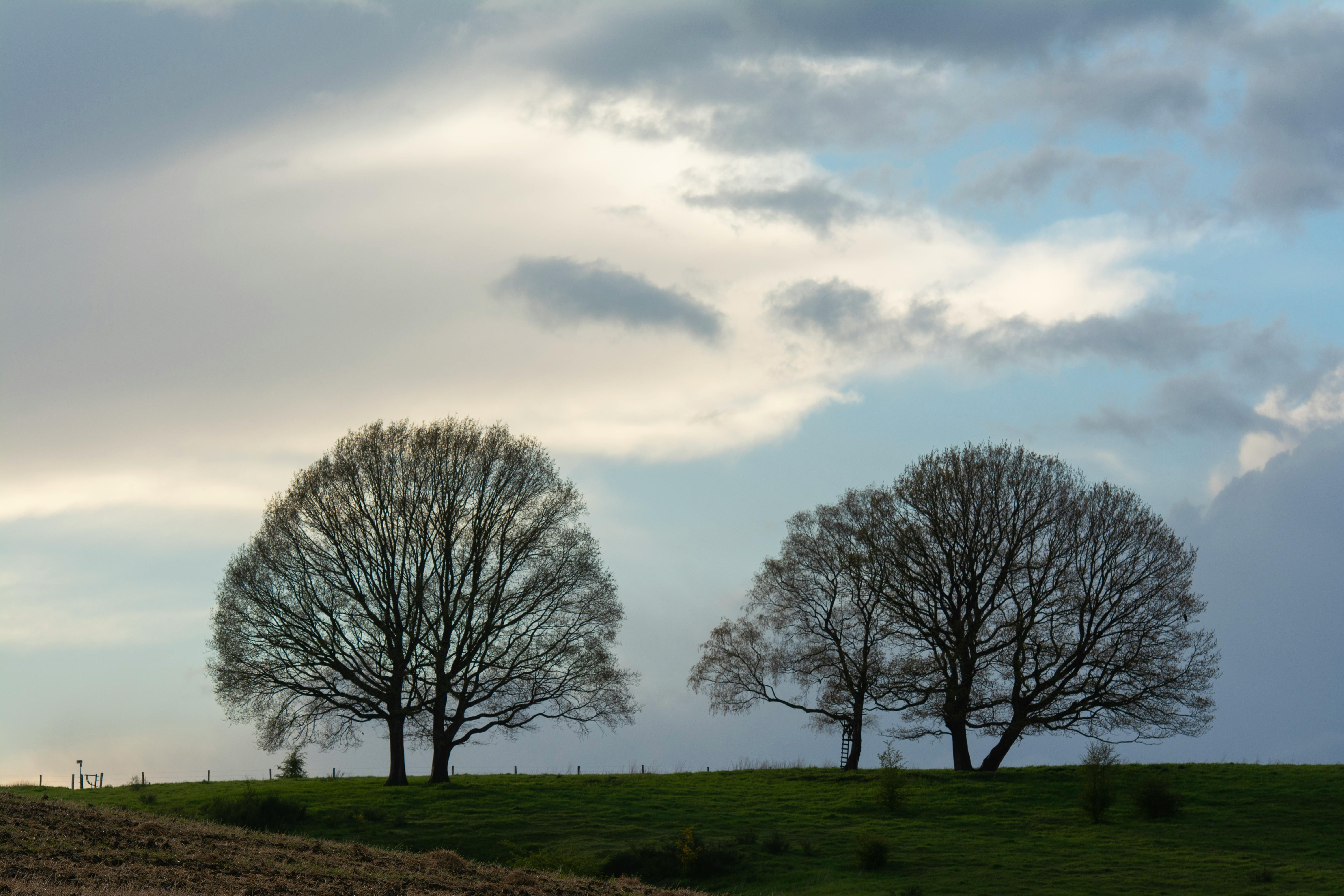 Leetcode 二叉树的前序中序后续遍历